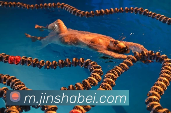 金沙娱乐平台生态图